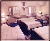 Dutch Mountain Lodge Bedroom #1